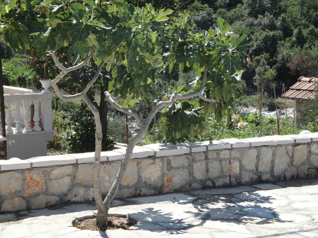 Villa Marica Neum Exteriér fotografie